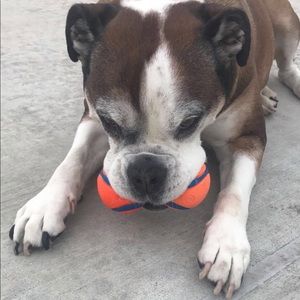 Meet your Posher, Jason